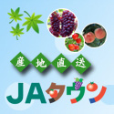 クラスティックR（Yahoo!店）のポイントサイト比較
