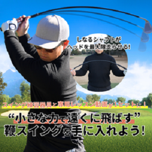 シナリアイアンのポイントサイト比較