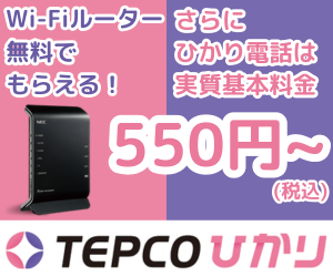 TEPCOひかり（テプコ光）高速インターネット光回線のポイントサイト比較