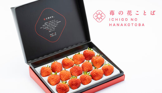 苺の花ことばのポイントサイト比較