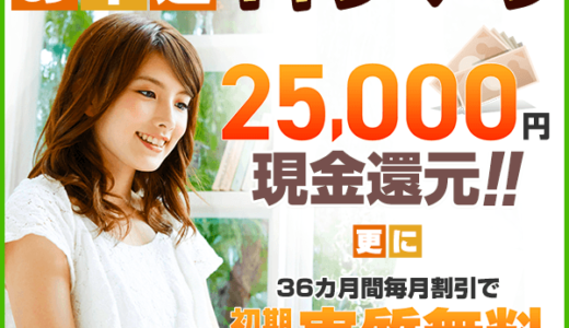 @nifty光（アウンカンパニー）のポイントサイト比較