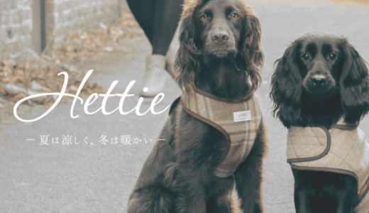 Hettie(ヘティー)のポイントサイト比較
