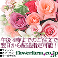 リッチライズプロテインのポイントサイト比較