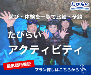 たびらいアクティビティのポイントサイト比較