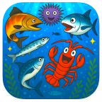 ドンとクイズ - 今日から使える魚の知識（挑戦数160回到達）iOSのポイントサイト比較