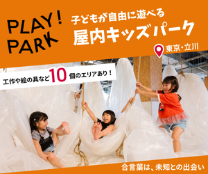 PLAY! PARK（屋内キッズパーク）のポイントサイト比較