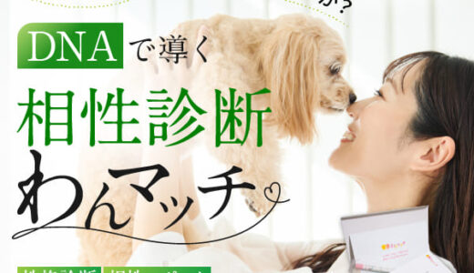 DNAから相性診断「わんマッチ」のポイントサイト比較