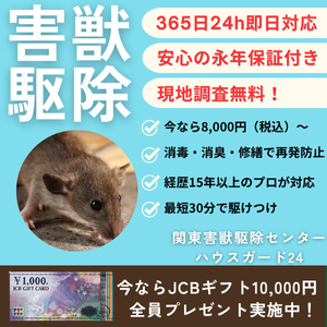 ハウスガード24(関東害獣駆除センター)のポイントサイト比較