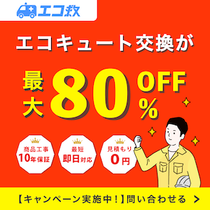 エコ救 from おうちのアラートのポイントサイト比較