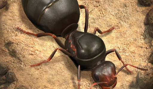 ザ・アンツ：アンダーグラウンド キングダム（StepUpミッションで女王アリをLv.22にUP）iOSのポイントサイト比較