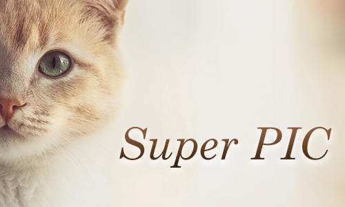 Super PIC（5,500円コース）のポイントサイト比較