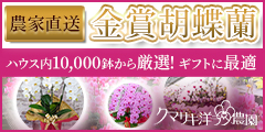 楽天カード（マイカラーデザイン）のポイントサイト比較