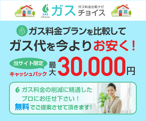 くまポン（フィリップスソニッケアー互換替えブラシ 12本セット）のポイントサイト比較
